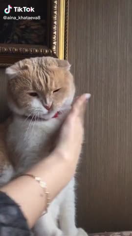 d41fe4a1204b2f51f8b8e6b6bf932daf