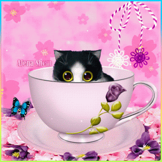 privet-moya-xoroshaya