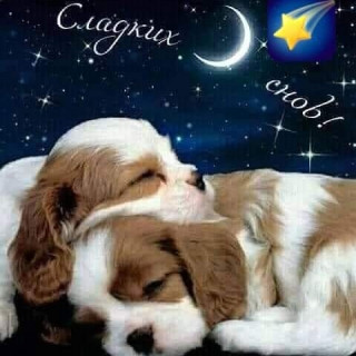 ianygi___CAA5AIzHE1h___