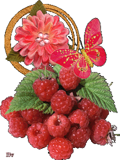 Малинабабочка