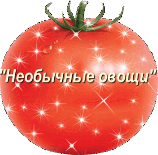 Foiz__bloggif_5eb81cdcee4ea