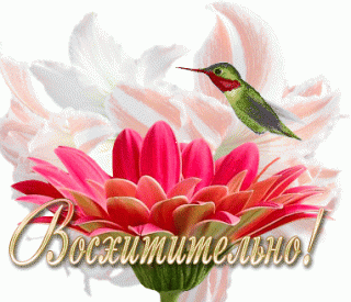 Foiz__Восхитительно