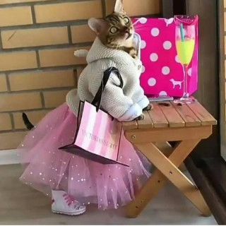 maanocats___CAGOOssJ3-M___