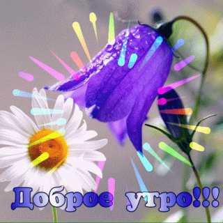 bd984b7b-7fa4-4f5b-bdac-9bad407d9c97