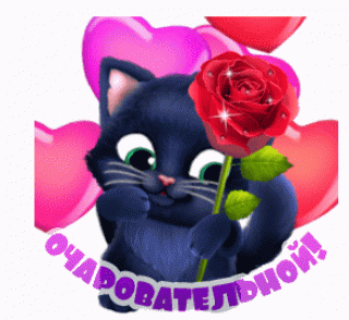 GIF_Анимиция_