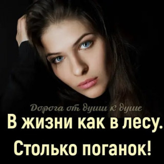 elkonatalia___CAGCGjUI7Ya___