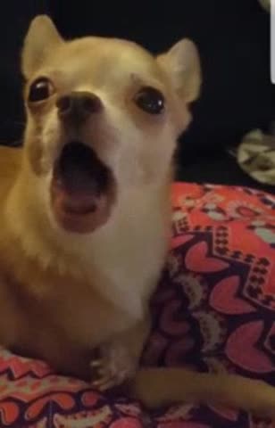 VID_Sleep_20_WA0