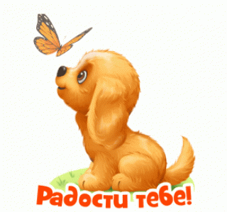 Радости тебе