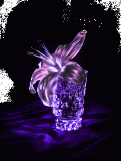 image_862401161437554006168