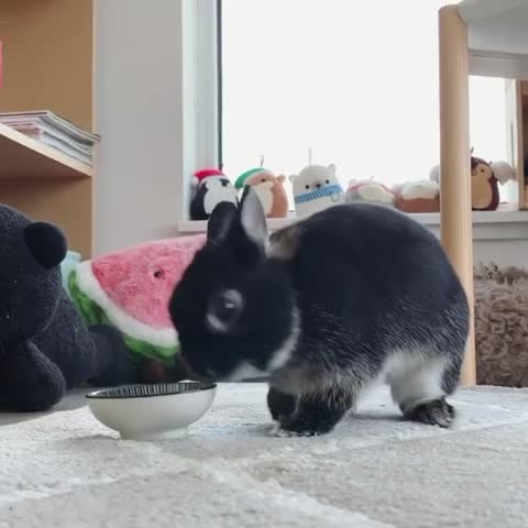 awthebun___CAVcg0xAN1j___