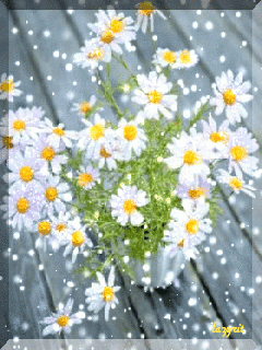 1507071605_3301-buket-romashek