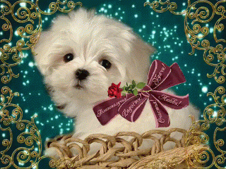 благополучия