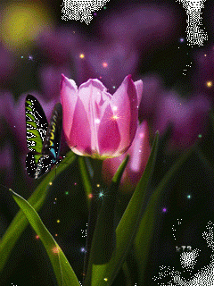 74f60cf4abc16b0d856bf1607b6d2fdd