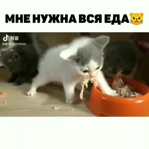 pozitive_smex___CAUVD25gzue___