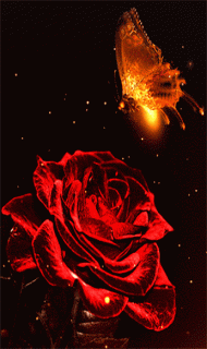 5ac708593f7ec3c073a3581bcdd2a636