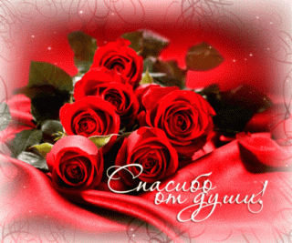 1485416083_149-spasibo-ot-dushi