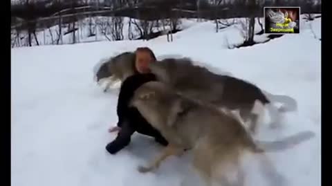 самый_добрый_ролик