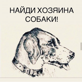 plaa_women____CAfN69tqJ-o___