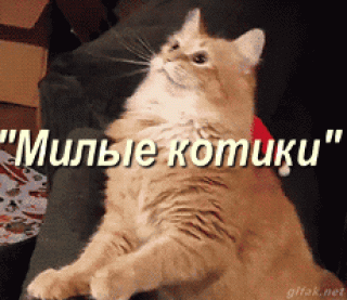 Foiz__bloggif_5ecbd0b3cb4ef