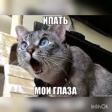 Дольче габана