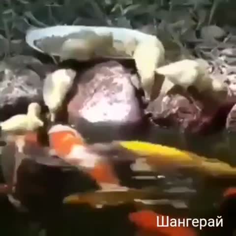 Фантастика
