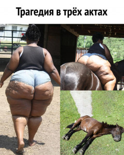 2018-06-21-1529615558