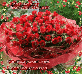 image_86141116132958720243