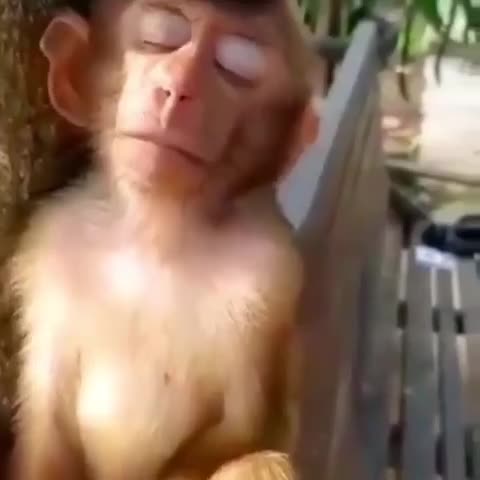 всеми_забытый