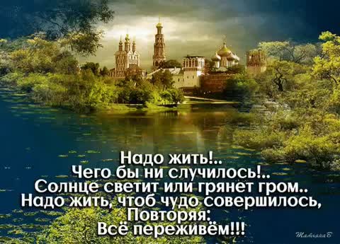 Надо жить