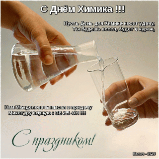 День химика