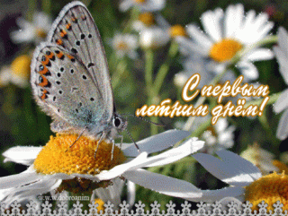 анимация-открытка-певый-день-лета