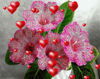 image_861310181311298121486