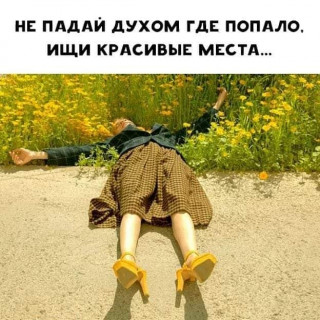 obovseminiochemm___CA0Y9wGjS8q___