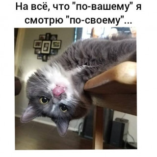 moi_mir_pozitiva___CA0eHW8DNcf___