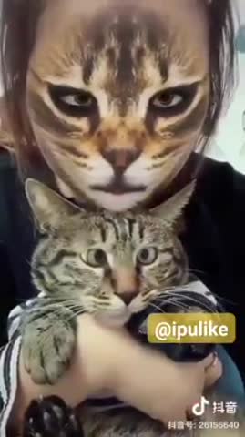 78395274_435220457405461_8233625084376383488_n_1