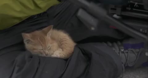 I_tut_on_ponjal_chto_rabochij_den_zatjasja_na_pa_chasov