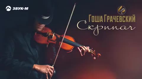 1скрипач1