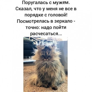 moi_mir_pozitiva___CA0RixNDQM6___