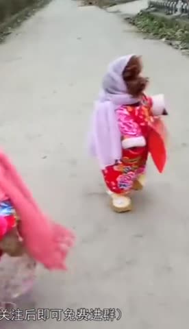 Модные_собачки