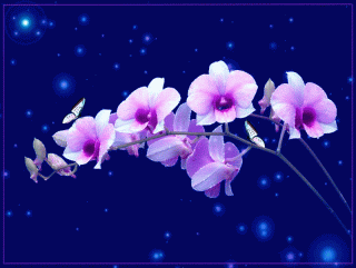 30em16f0od8mf9o3o62mhs2nfdfen0dl