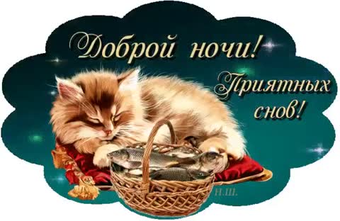 Доброй ночи