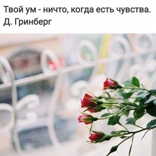 frazivsluh___CAyFTQdj64N___