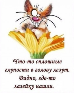elkonatalia___CAuerjXIWR9___