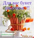 доброе_утро