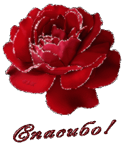 Роза спасибо