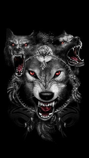 Soul_of_the_Wolf
