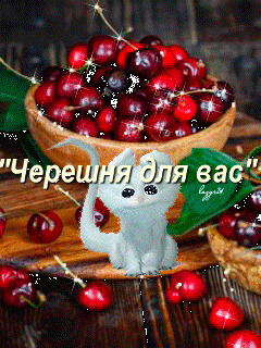 Foiz__bloggif_5ee0e1b49a799