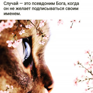 frazivsluh___CBA1pCmDxS3___