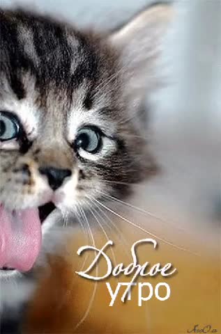 доброго вам