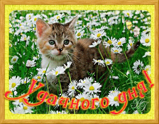 6096-irinahochweis-GZk8i33GYe